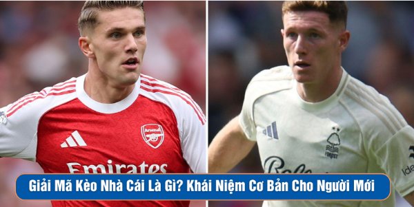 Kèo Phạt Góc là Gì? Nguyên Nhân Nhà Cái P3 Là Lựa Chọn Hàng Đầu Cùng Quý Khách - Hiểu Rõ and Chinh Phục Thị trường Cá Cược Đỉnh Cao